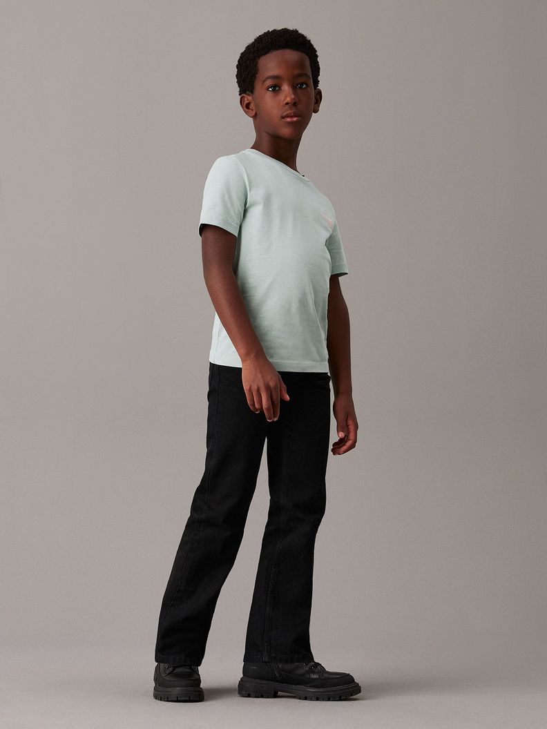 Polera Niño Ches Monologo Verde Calvin Klein-2