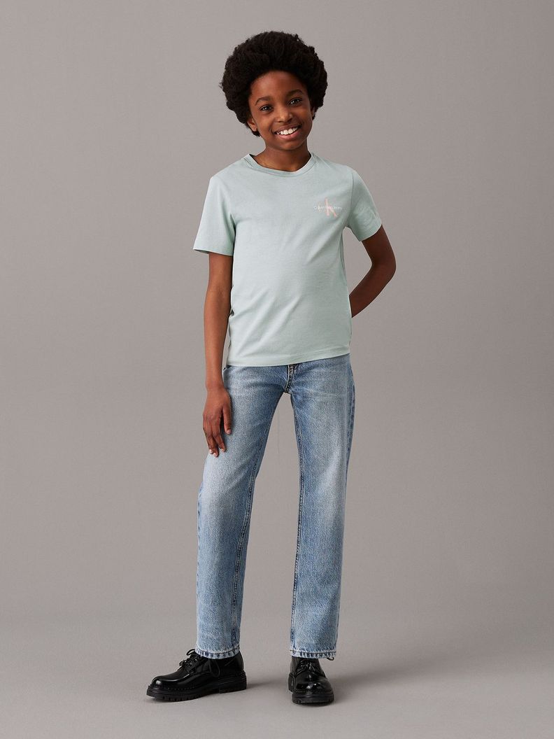 Polera Niño Ches Monologo Verde Calvin Klein-3