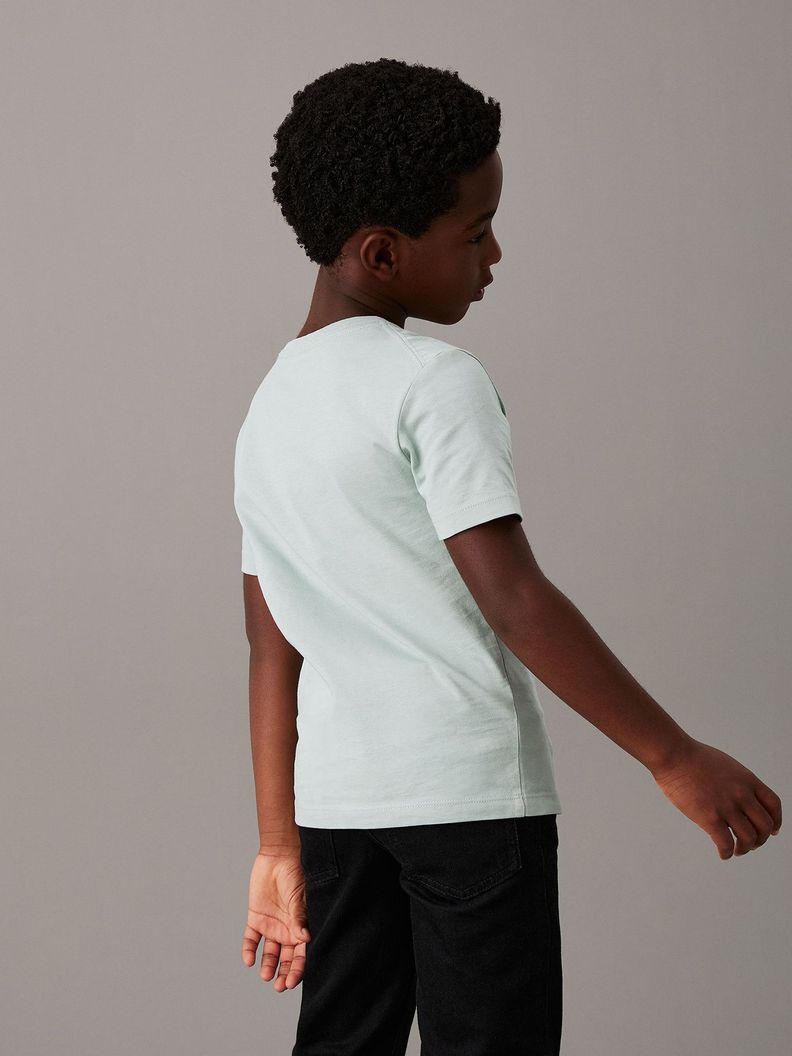 Polera Niño Ches Monologo Verde Calvin Klein-4