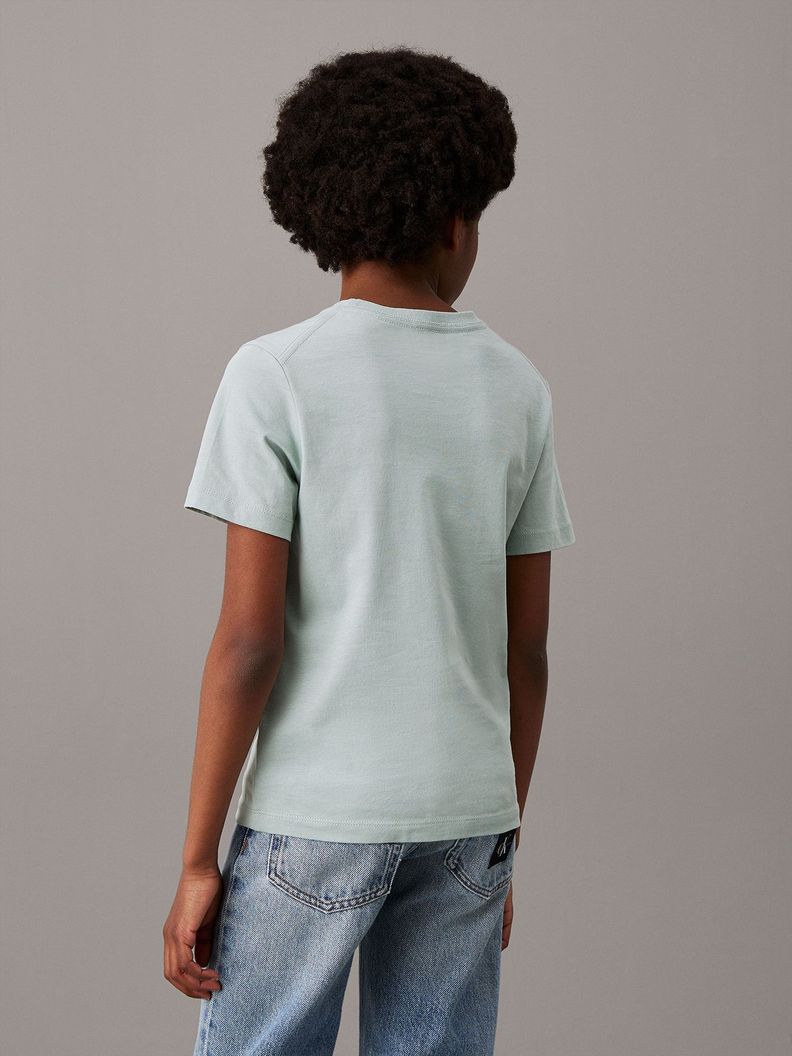 Polera Niño Ches Monologo Verde Calvin Klein-5