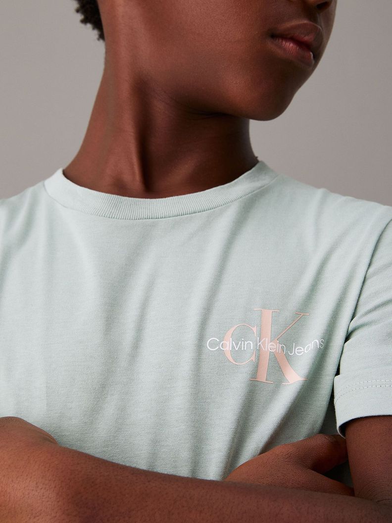 Polera Niño Ches Monologo Verde Calvin Klein-6