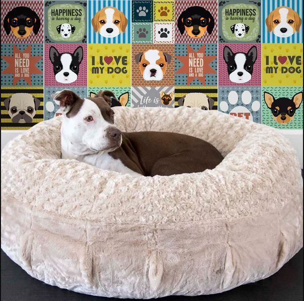 Azulejo Autoadhesivo Decorativo 15x15 Pets-3