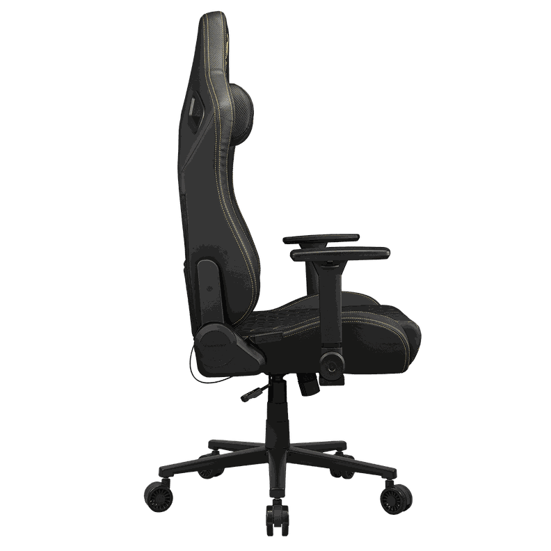 Silla Profesional Cougar Defensor Gold Apoyabrazos Plegable-5