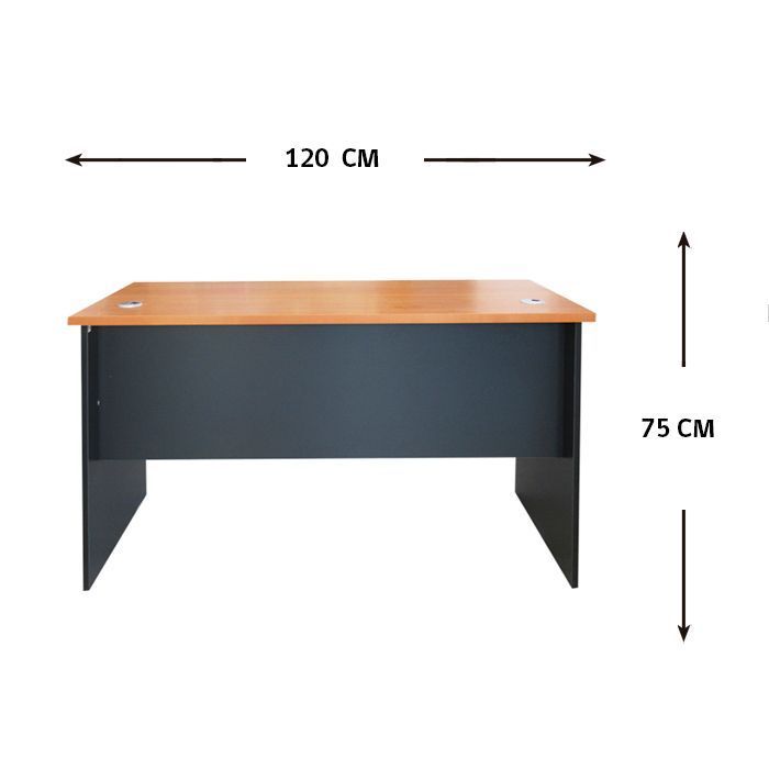 ESCRITORIO RECTO 120 ESR120 PERAL con GRAFITO ( 120 x 60 x 75 cm)-2