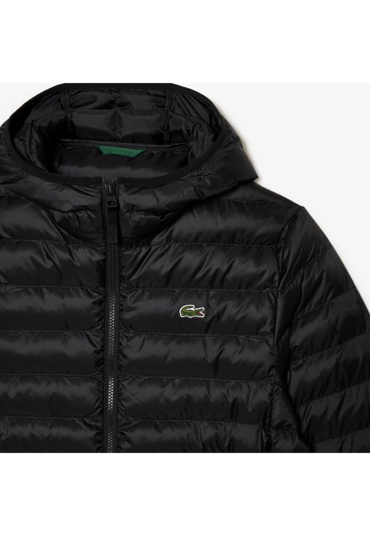 chaqueton lacoste hombre