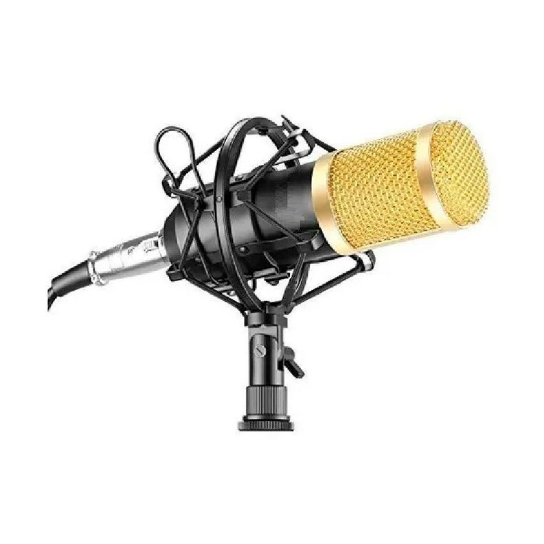 Micrófono Condensador Profesional de Estudio Gold-2