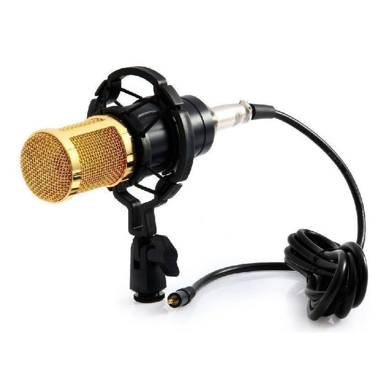 Micrófono Condensador Profesional de Estudio Gold-0