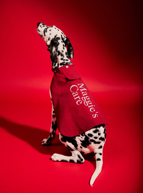 Chubasquero Color Rojo -3