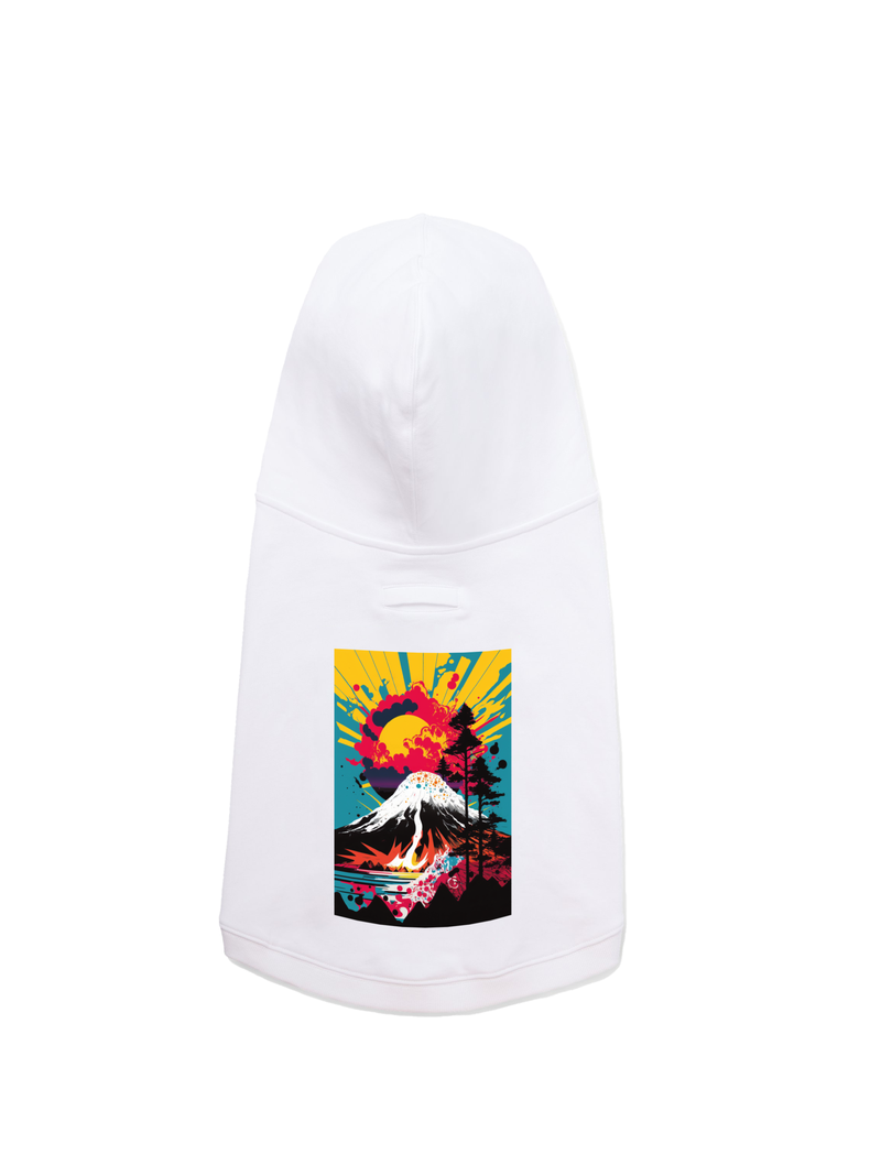Poleron Hoodie Color Blanco -1
