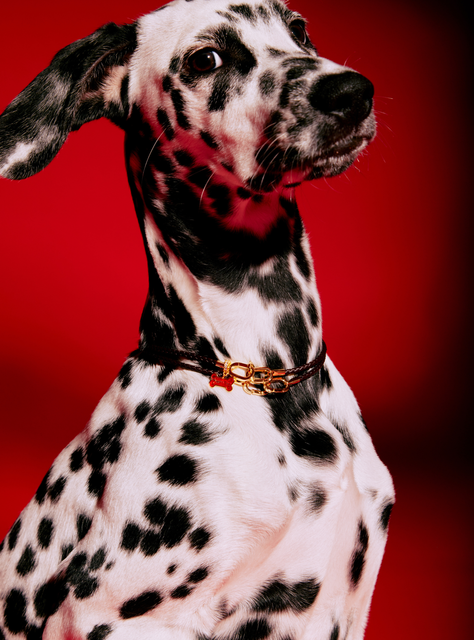 Collar Pulsera Dorado -3