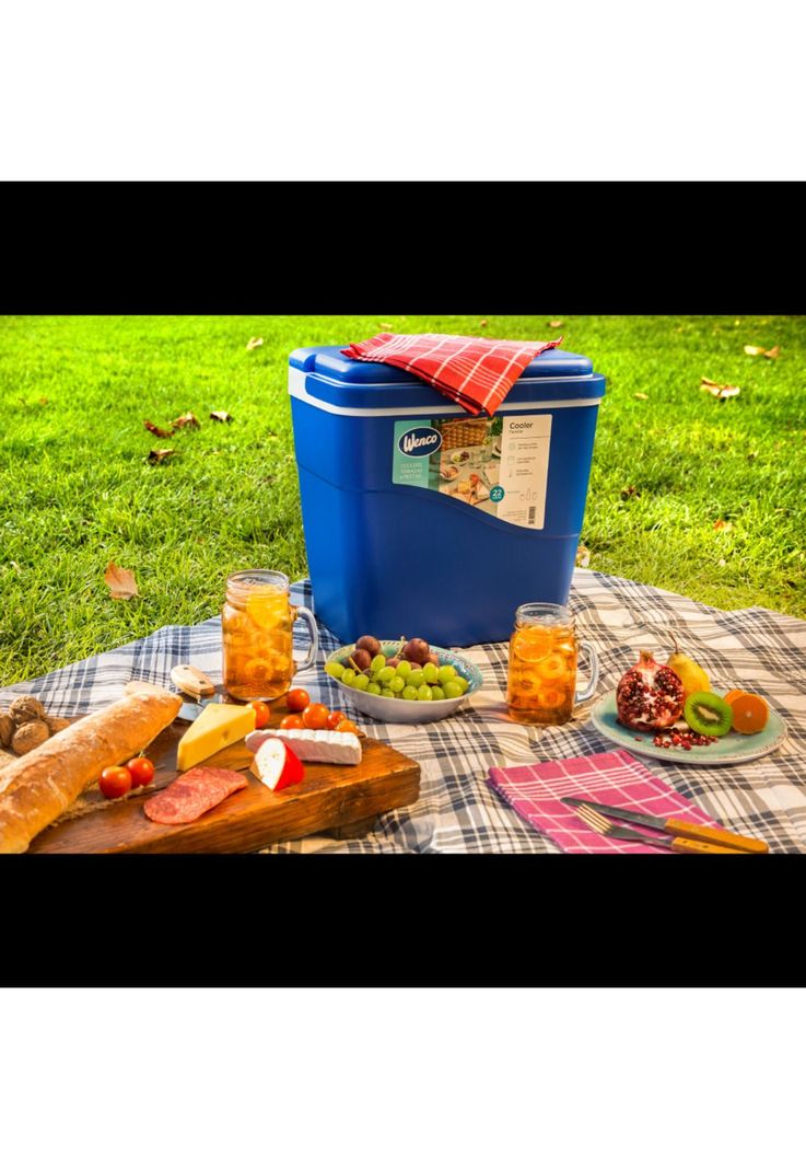 Nevera / Cooler 22 Litros Azul Wenco-1