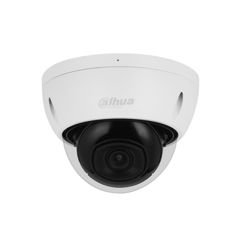 Cámara Dahua IP Domo WizSense 2MP IR30 PoE IP67 IK10 SMD-0