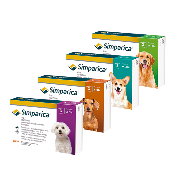 Simparica antiparasitario 20 a 40 kg x 3 comprimidos-1