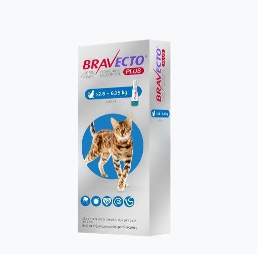 BRAVECTO GATO ANTIPARASITARIO INT/EXT 2.8 A 6.25 KG PLUS-1