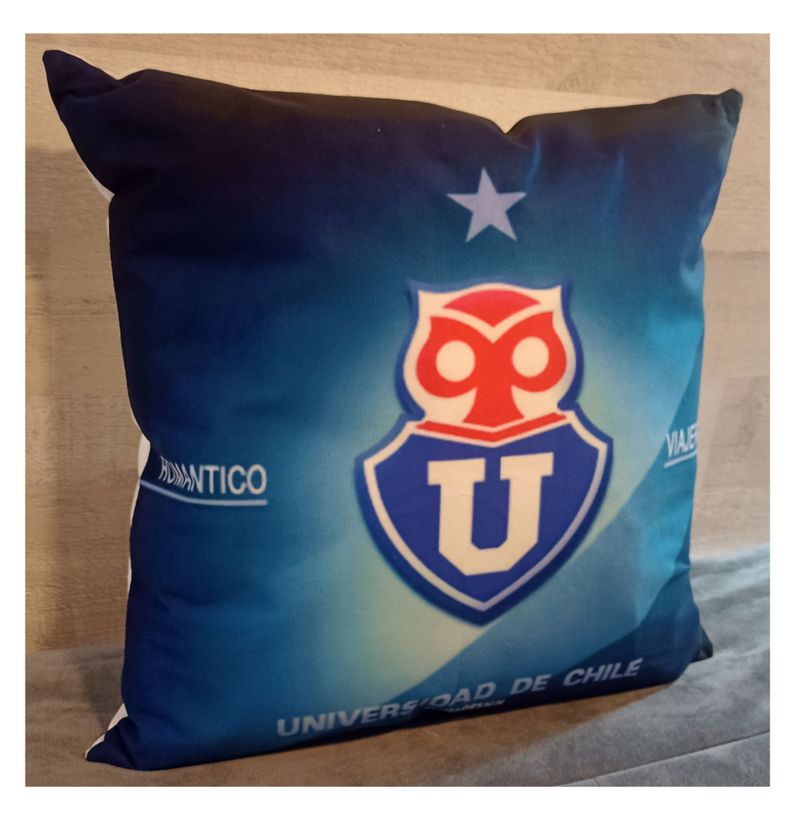 Cojín Felpa 45x45 cm Romántico Viajero U Extra Suave -2