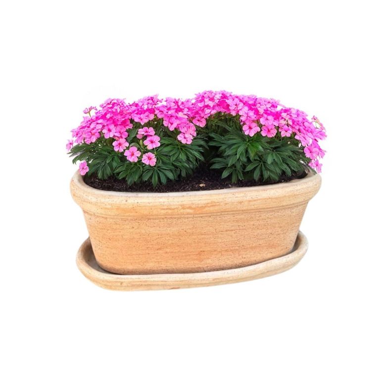 Jardinera Etrusca 35cm Ovalada con Plato Terracota