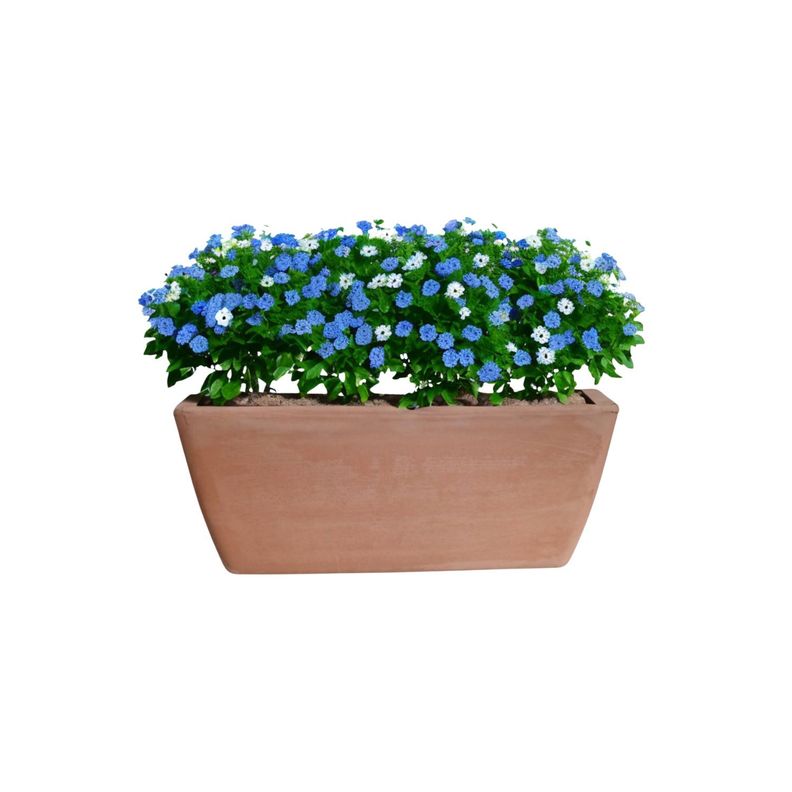 Jardinera Rectangular GARDA 32cm Terrarcilla Deroma Terracota [ 801 ]