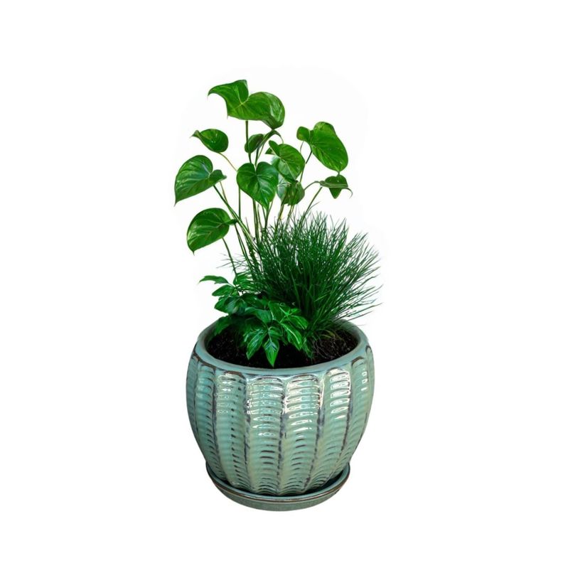 Maceta Hosse 37 Azul Capri con plato