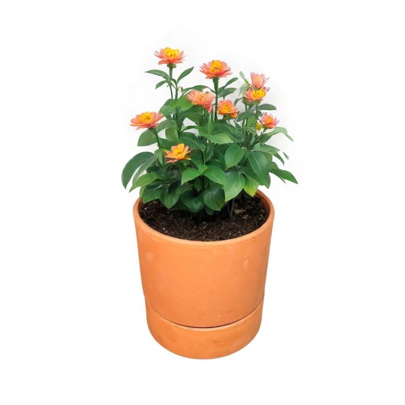 Maceta Autoriego Modula 25cm Terracota