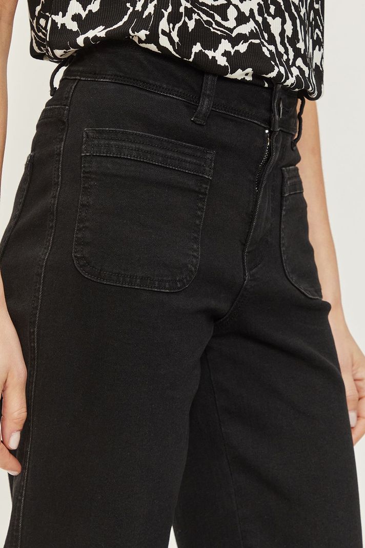 Jeans Liso Negro Ash 11307224051102-2