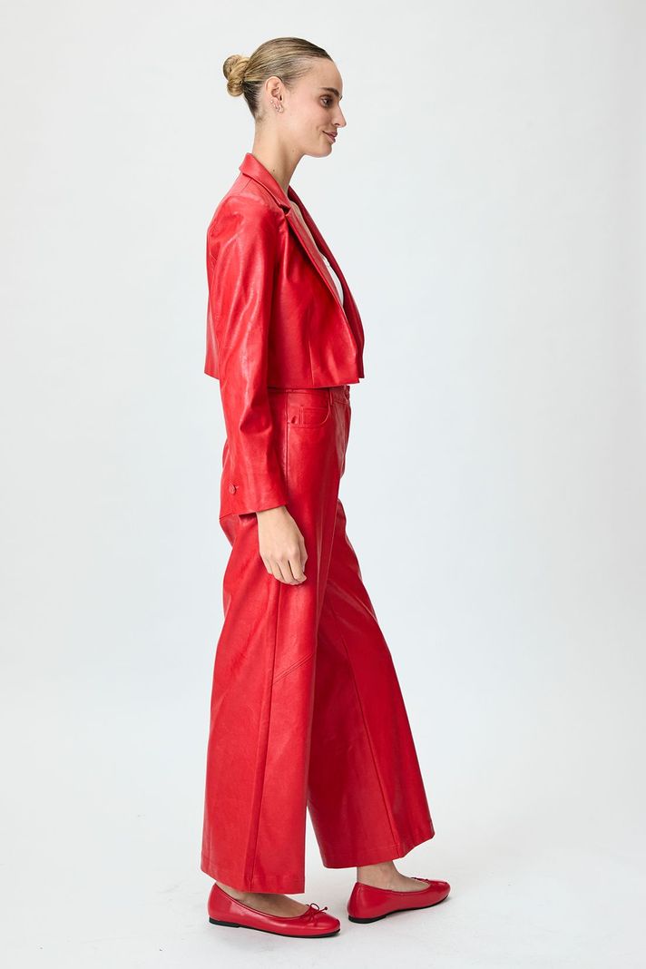 Blazer Liso Rojo iO 16020125009103-3