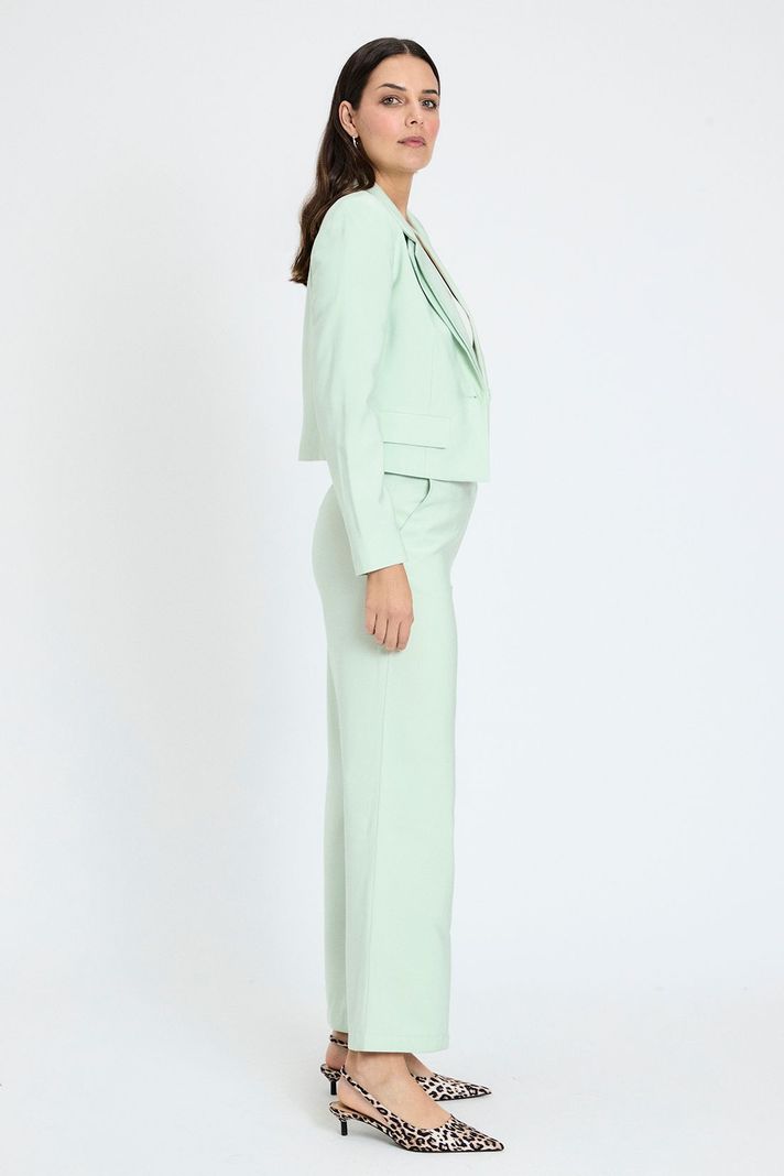 Blazer Liso Verde Ash 16007224011217-3