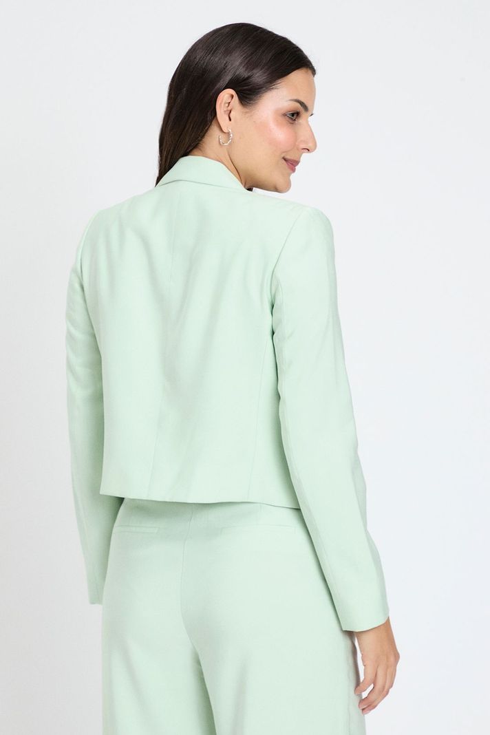 Blazer Liso Verde Ash 16007224011217-4