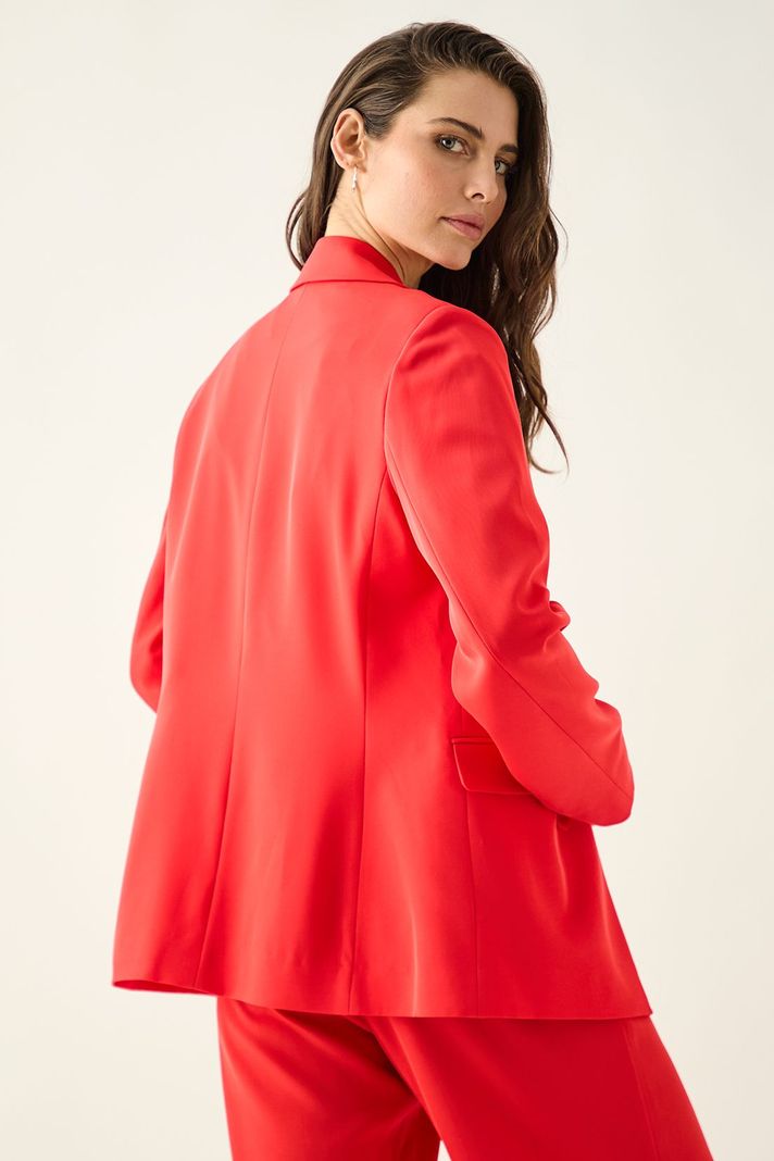 Blazer Liso Rojo Ash 16007224062103-4
