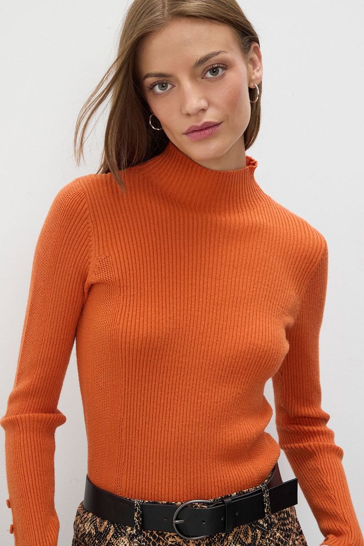 Sweater Liso Naranjo 18120125022114 iO | Paris.cl