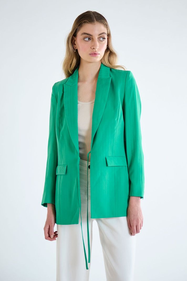 Blazer Liso Verde iO 16020125005107-0