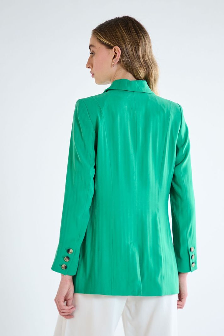 Blazer Liso Verde iO 16020125005107-3