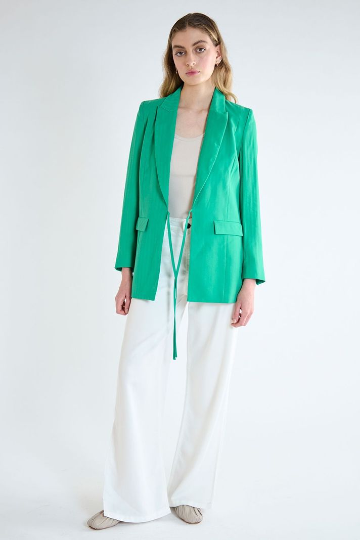 Blazer Liso Verde iO 16020125005107-4