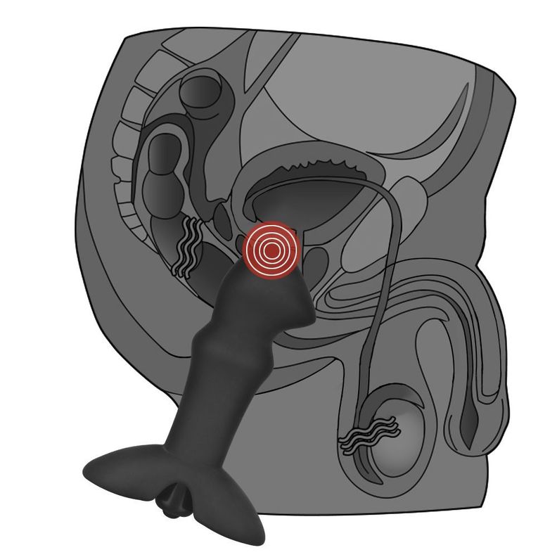 Plug vibrador prostatico Stud AnalIndulgence -1