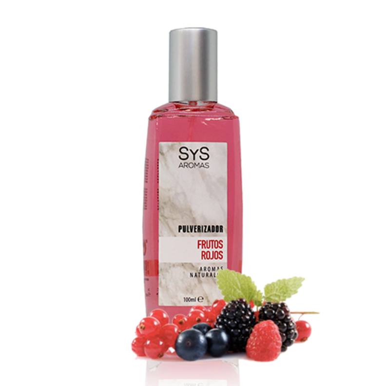 Mikado Ambientador sys Difusor Varillas De Ratan 100 Ml-1