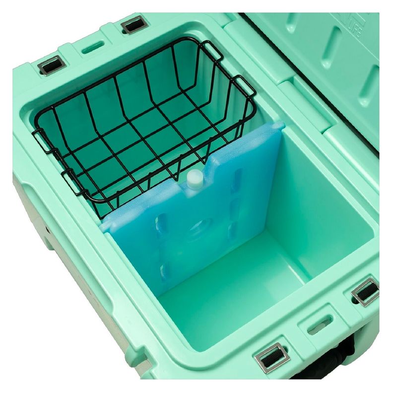 Cooler Box 35QT / 33,1 L AF Life Turquesa-6