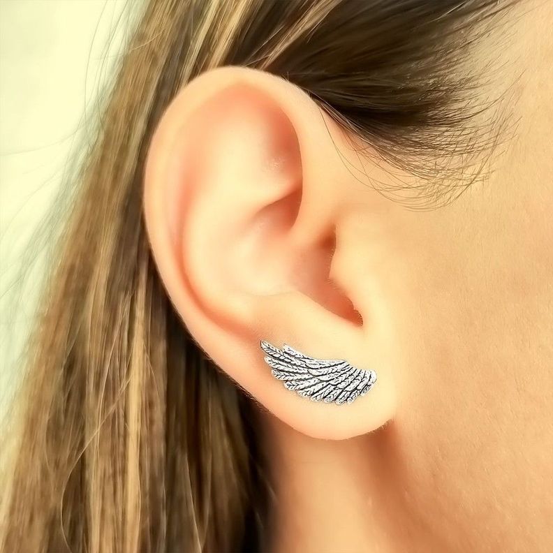 Aros Alas Trepador Plata Fina 925-1