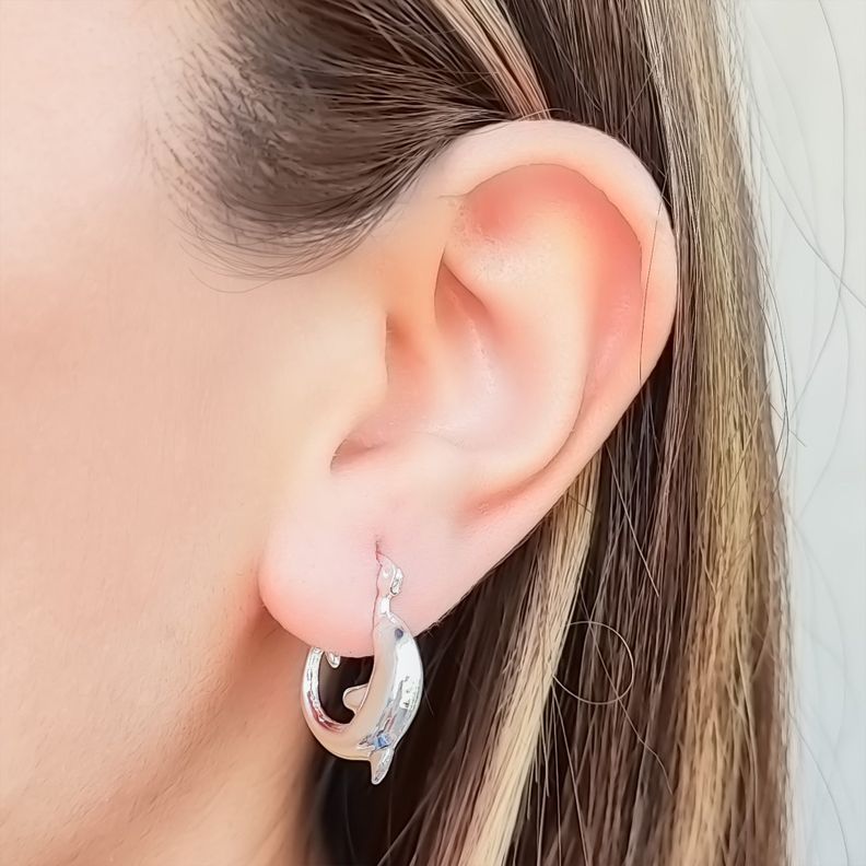 Aros Argolla Delfín Plata Fina 925-1