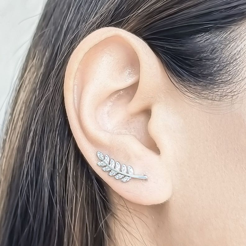 Aros Trepadores Rama Circón Plata Fina 925-1