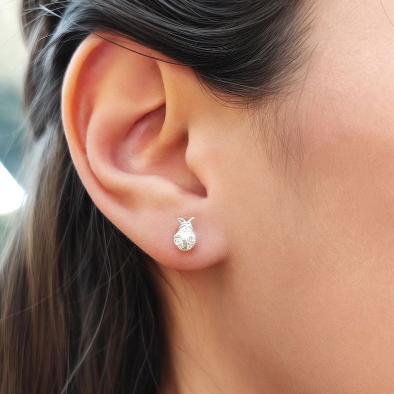 Aros Chinitas Circón Plata Fina 925-2