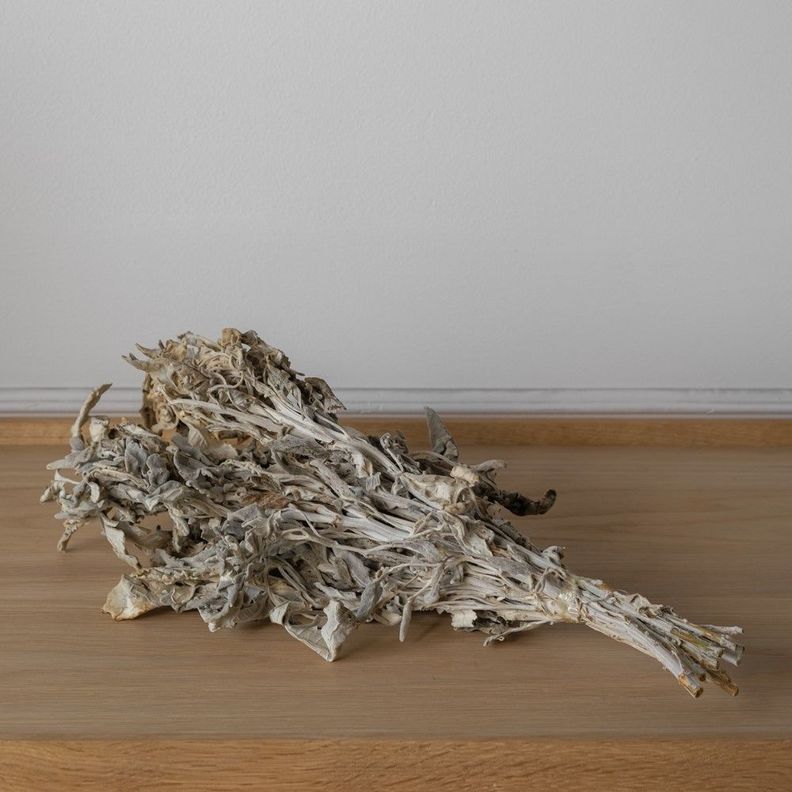Flor Seca Brisa-2