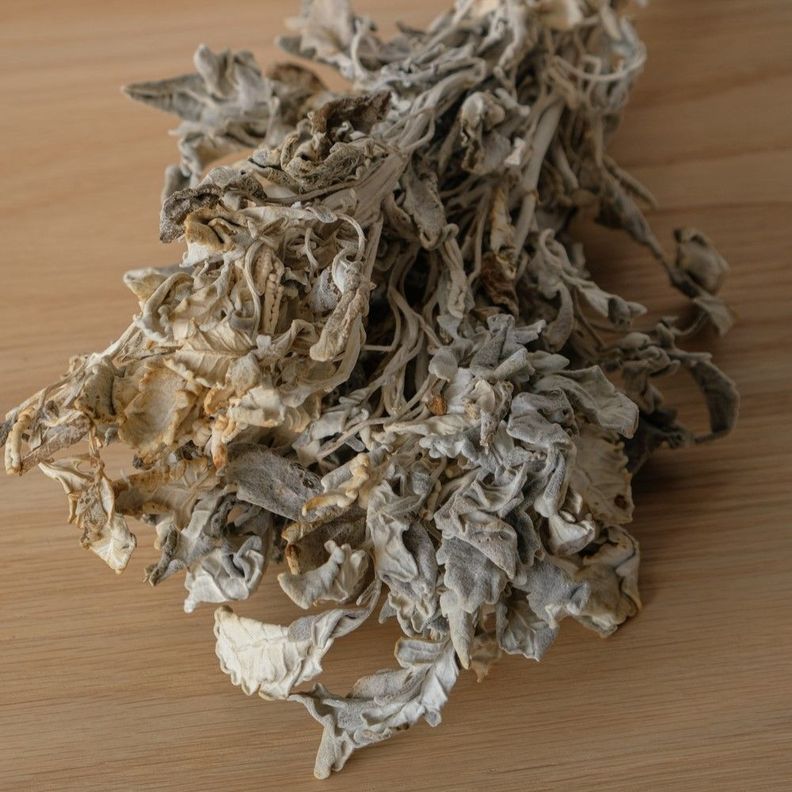 Flor Seca Brisa-7