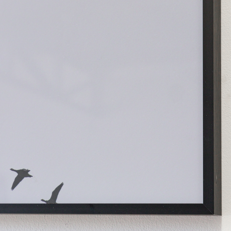 Fotografia Aves C 60 X 80-7