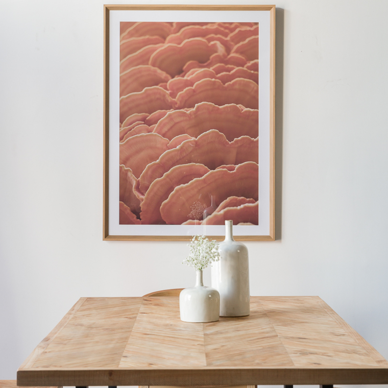 Cuadro Funghi A 80 X 110-3