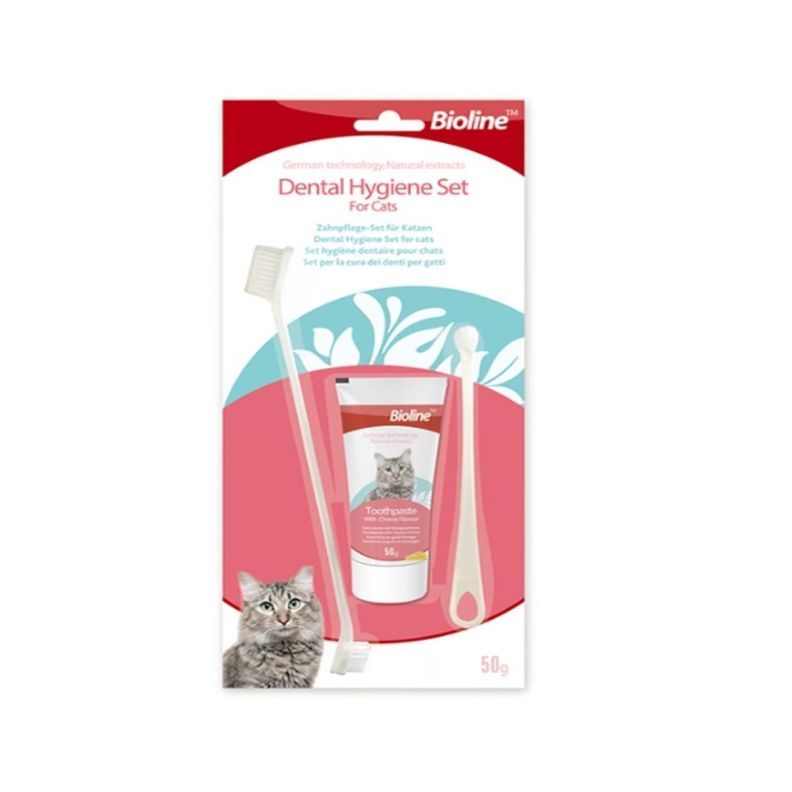 Kit De Limpieza Dental Higiene Para Gatos Cepillo Y Pasta-1