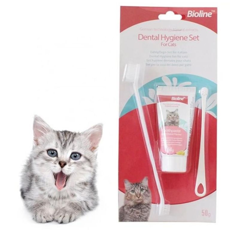 Kit De Limpieza Dental Higiene Para Gatos Cepillo Y Pasta-2