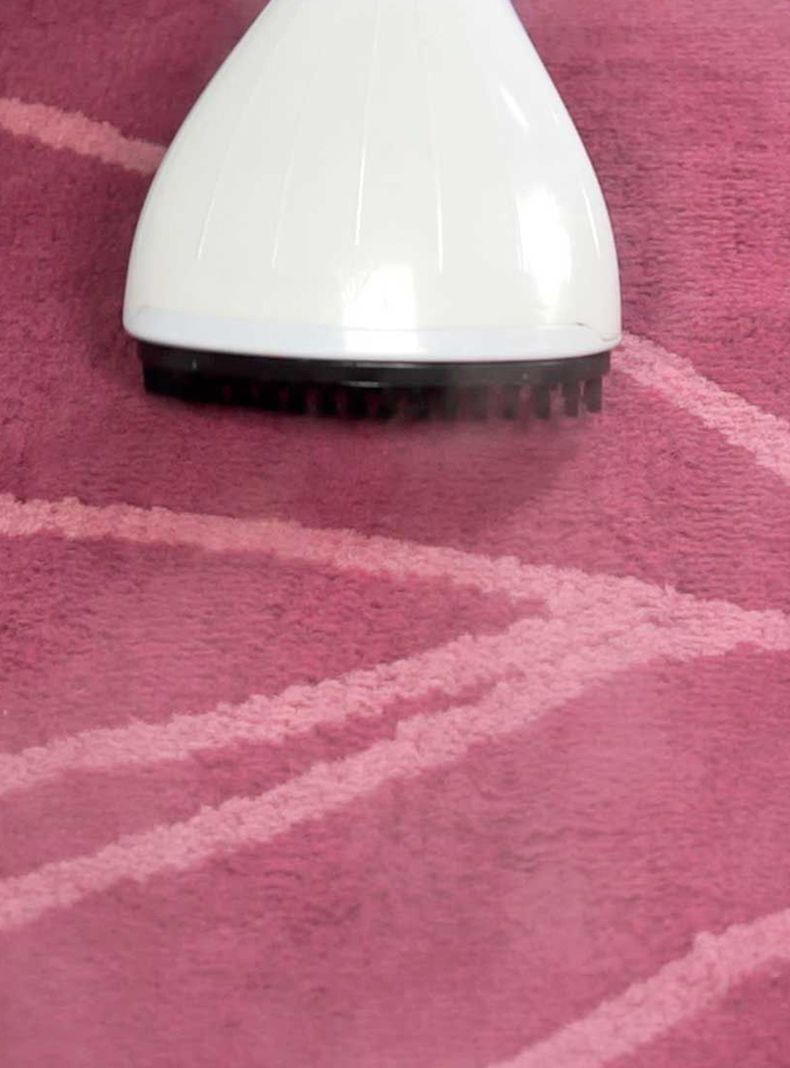 Plancha a Vapor Vertical Steam Best-7