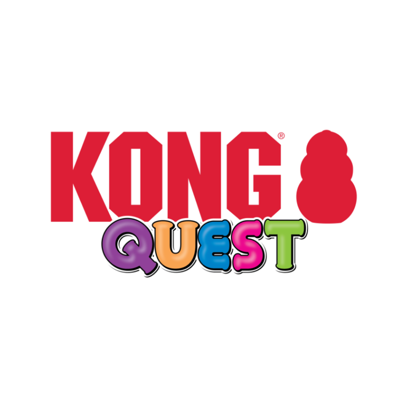 Kong Quest Wishbone L-2
