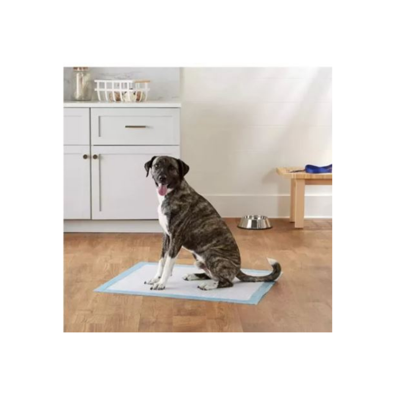 Sabanilla Training Pads 30 un. 90x60cm-1