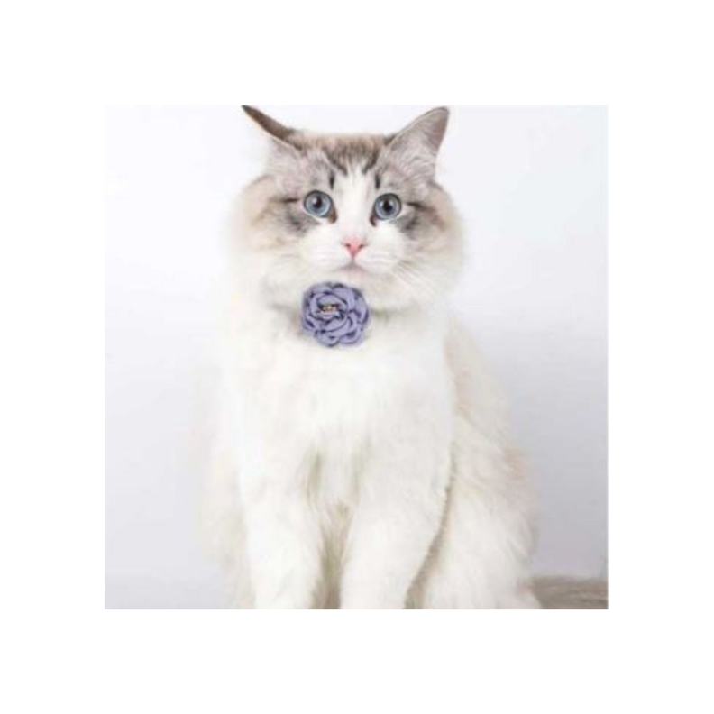 Collar De Flor Azul para Gato-1