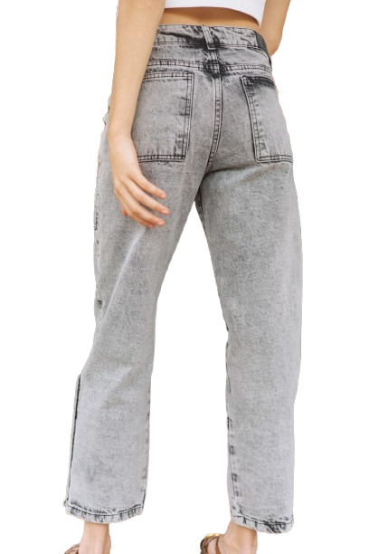 Pantalon Cayetana gris Rupha-2